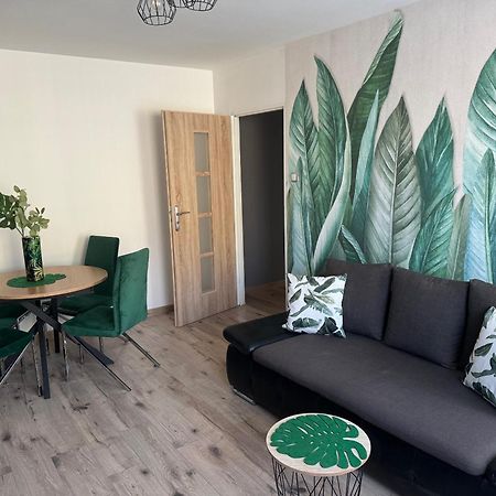 Blue Apartment Close To Old Town Bydgoszcz Eksteriør bilde
